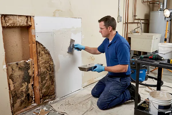 Mold and Drywall Repair The Colony