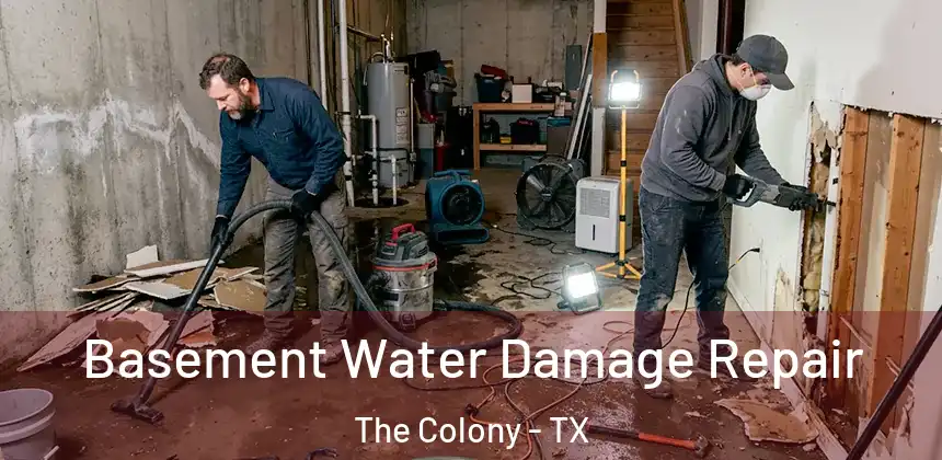  Basement Water Damage Repair The Colony - TX