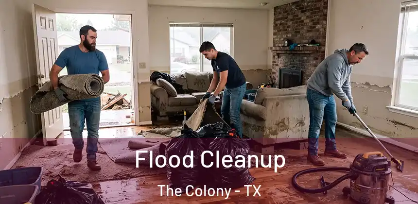  Flood Cleanup The Colony - TX