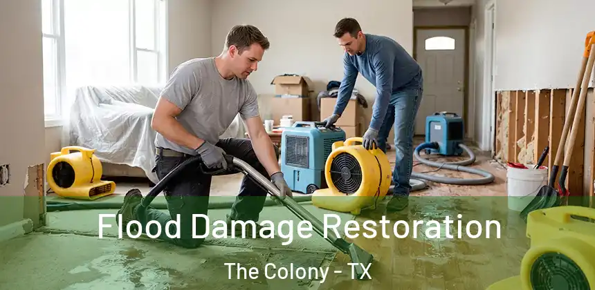 Flood Damage Restoration The Colony - TX