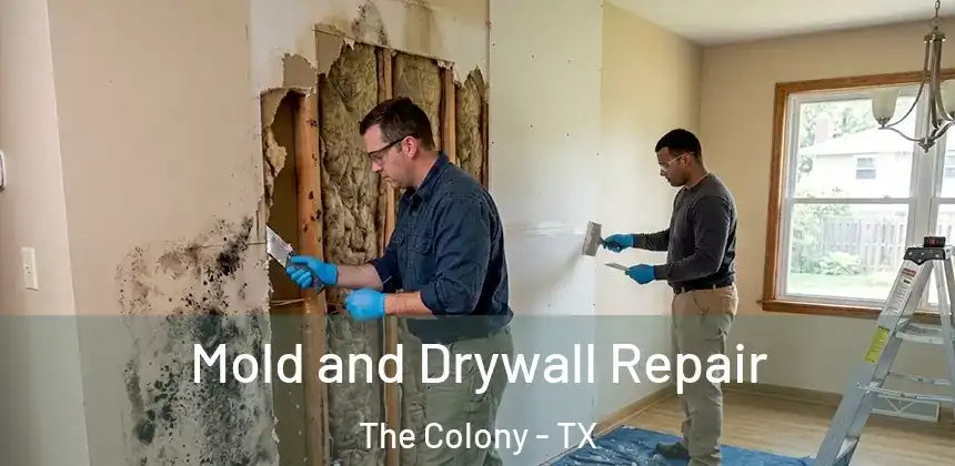  Mold and Drywall Repair The Colony - TX