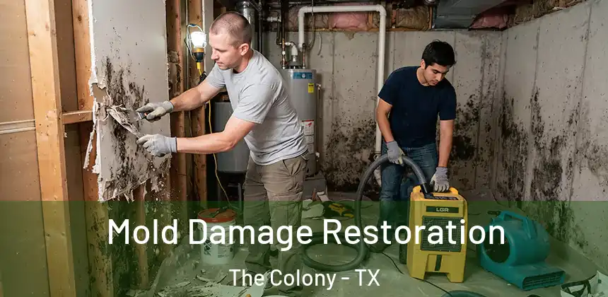 Mold Damage Restoration The Colony - TX