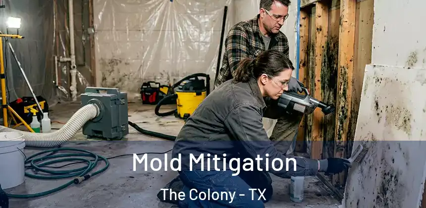 Mold Mitigation The Colony - TX