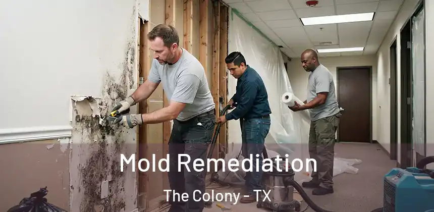 Mold Remediation The Colony - TX
