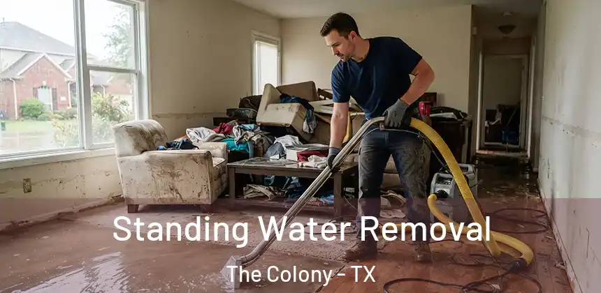  Standing Water Removal The Colony - TX