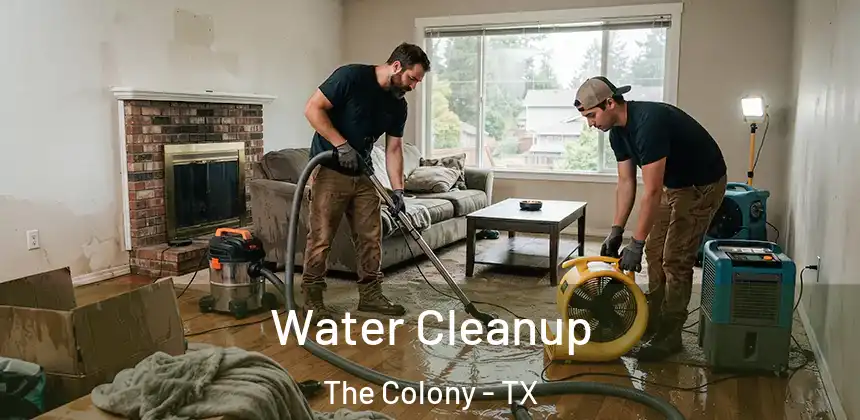  Water Cleanup The Colony - TX