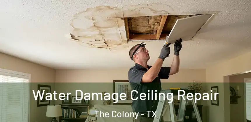  Water Damage Ceiling Repair The Colony - TX