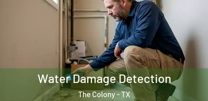 Water Damage Detection The Colony - TX