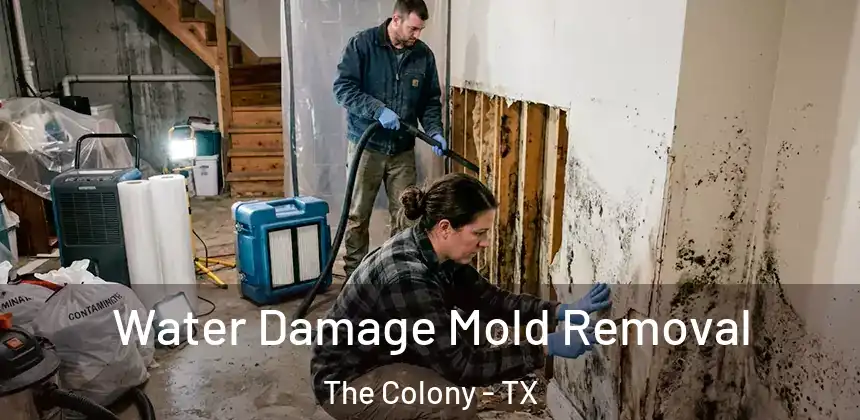  Water Damage Mold Removal The Colony - TX