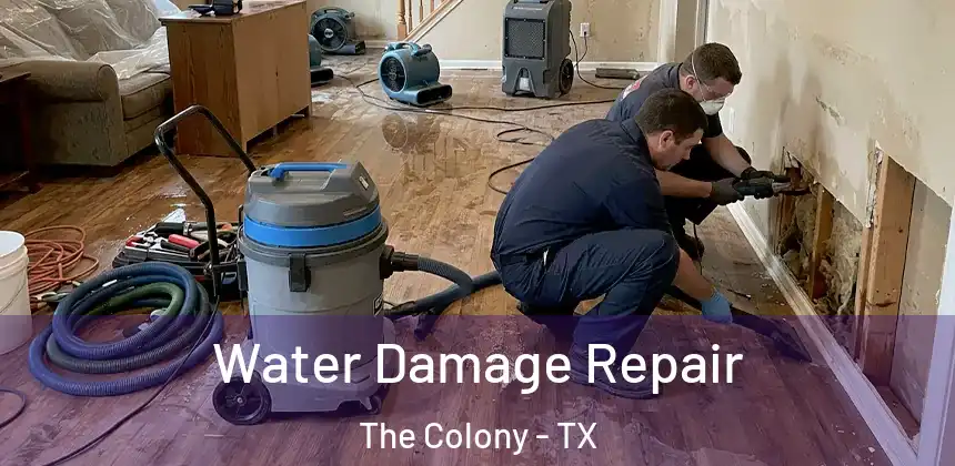 Water Damage Repair The Colony - TX