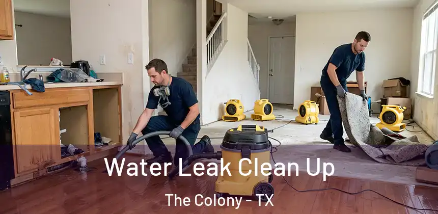 Water Leak Clean Up The Colony - TX