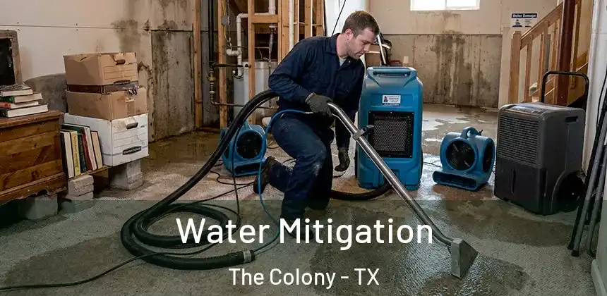  Water Mitigation The Colony - TX