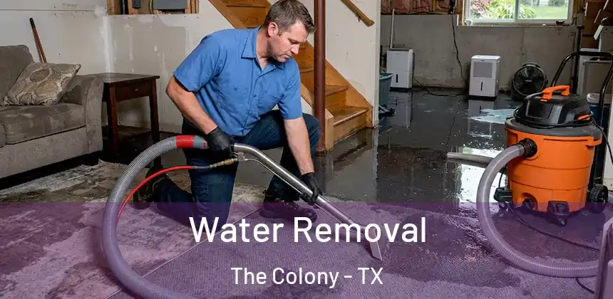  Water Removal The Colony - TX